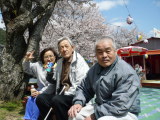 お花見